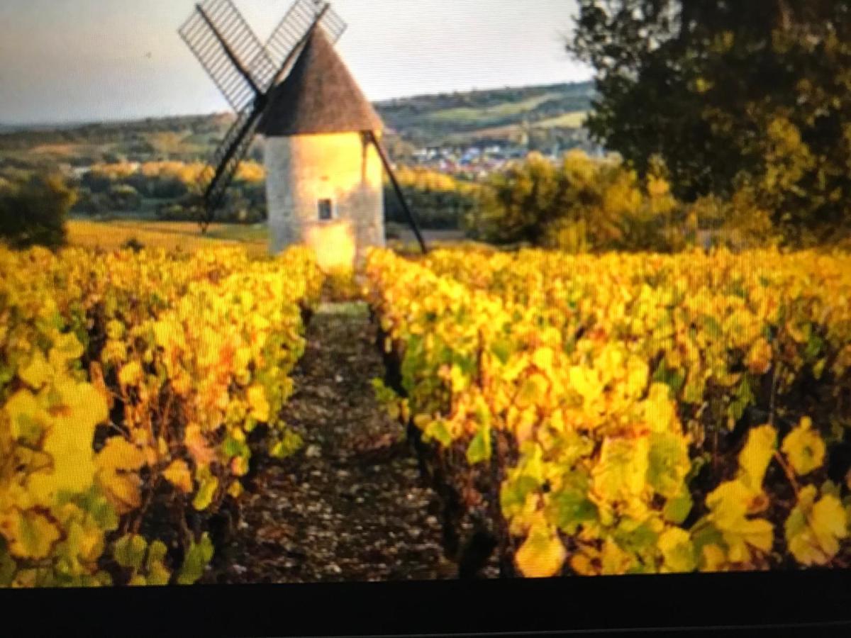 Maison M On The Dordogne Sainte-Foy-la-Grande Εξωτερικό φωτογραφία