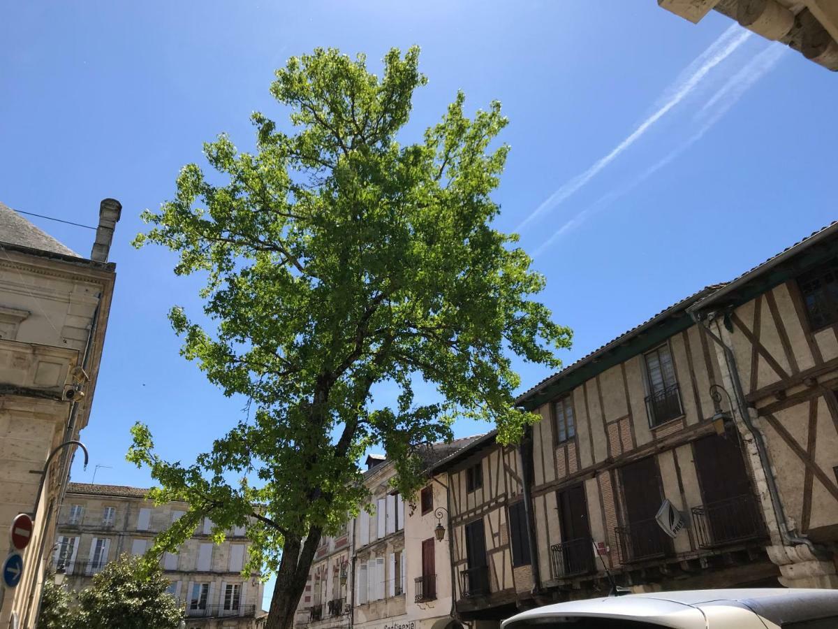 Maison M On The Dordogne Sainte-Foy-la-Grande Εξωτερικό φωτογραφία
